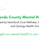 Highlands County Community Mental Health Summit